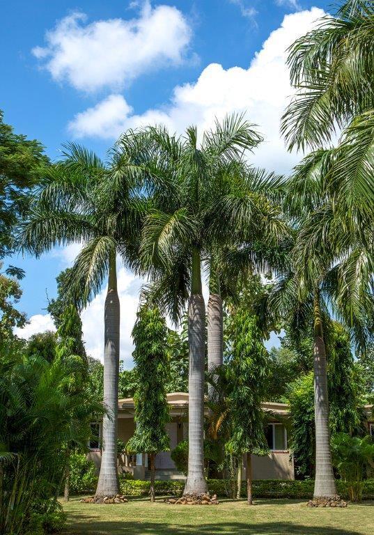 Tiger'S Den Resort Bandhavgarh National Park Εξωτερικό φωτογραφία