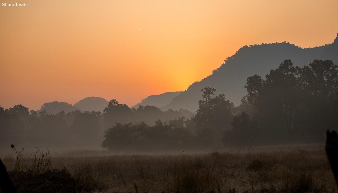 Tiger'S Den Resort Bandhavgarh National Park Εξωτερικό φωτογραφία